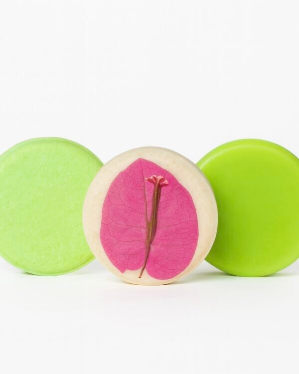 Kit de cuidado sólido natural